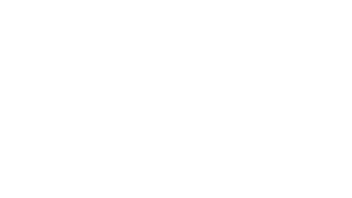 Julien Willard
